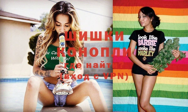 сатива Бронницы