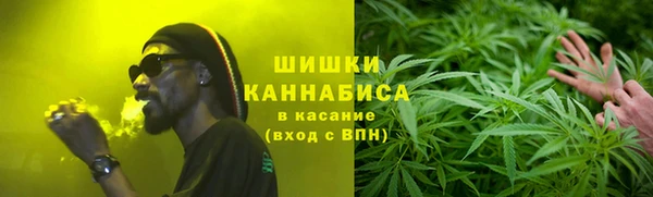 сатива Бронницы