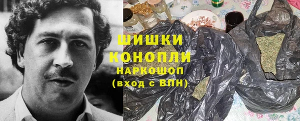 сатива Бронницы
