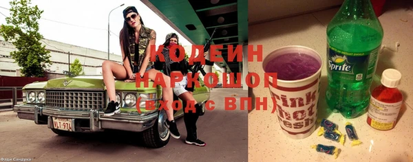 сатива Бронницы