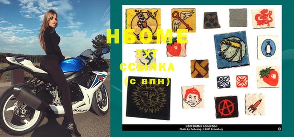 сатива Бронницы