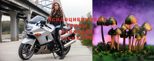 сатива Бронницы