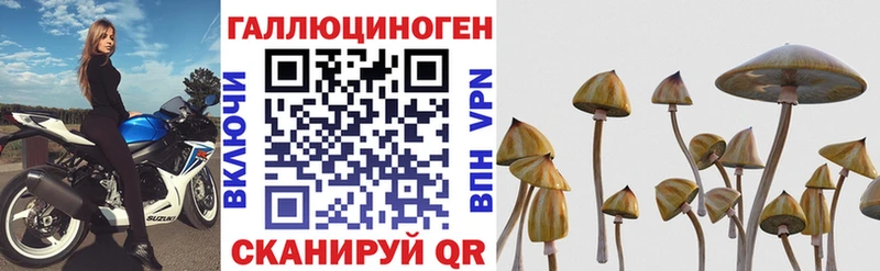 купить  цена  Нарьян-Мар  Псилоцибиновые грибы Magic Shrooms 
